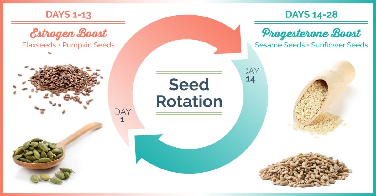 seed cycling seed cycling